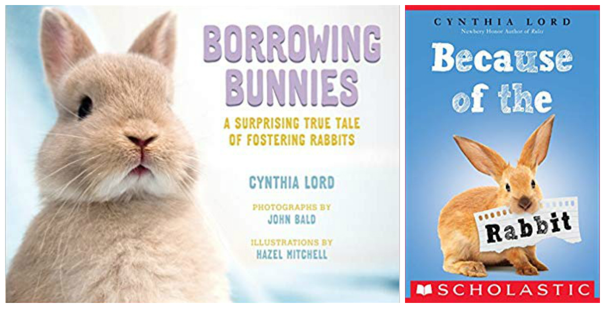 Chloe Rabbit Book Hop to It – Cynthia Lord’s New Rabbit Books