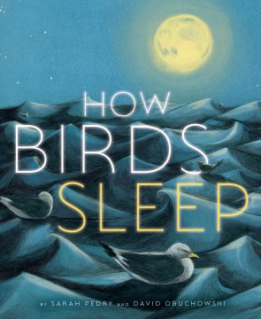 how birds sleep