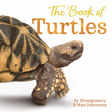 book of turtles